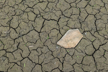 Dried-up reservoir during drought conditions, revealing cracked mud and exposed lakebed. Highlights...