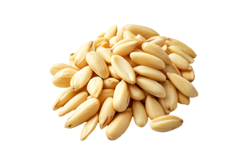 Pine Nuts high quality realistic image