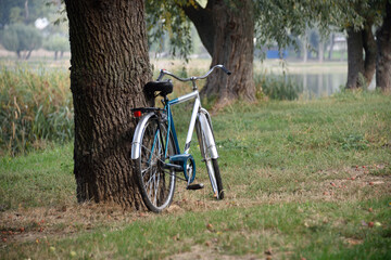Fototapeta premium Old bicycle leaned against a tree in a park. Countryside scene near a lake with a rear three quarter view of a bicycle and few trees.
