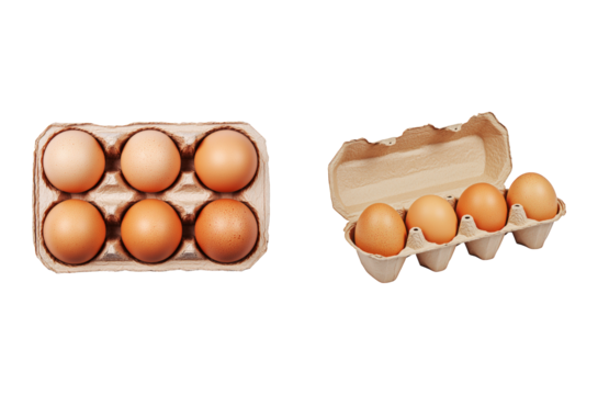 Six brown eggs molded paper egg carton farm fresh