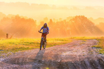 A person is riding a bike on a dirt road. The road is surrounded by trees. The sun is shining brightly, and the sky is orange
