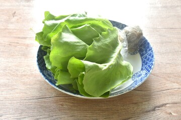 fresh green cos or  Romaine lettuce vegetable salad with drop of water arranging on plate