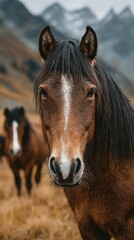 Fototapeta premium Majestic horses grazing in the serene mountains during a cloudy afternoon
