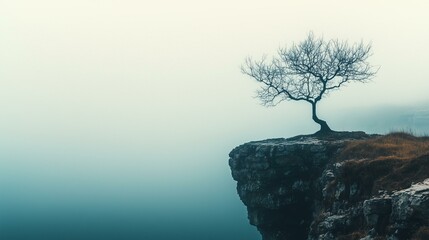 Solitary Tree on a Cliff Edge in Foggy Morning Light