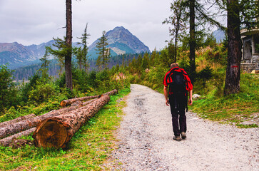 A man is walking on a dirt road with a backpack. The road is surrounded by trees and there is a large log on the side of the road