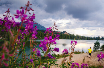 A man is running on a path near a lake. The lake is surrounded by purple flowers. The sky is cloudy and the man is wearing a yellow shirt
