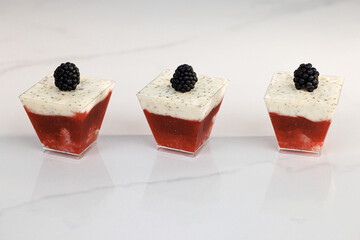 Verin mojito vanilla sponge cake, strawberry kulie, mint-lime ganache. Tasty sweet dessert. Ideal for gourmet dessert lovers. Famous french dessert