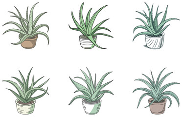 Aloe Vera in Pot Vector Designs Set Minimal Flat Succulent Illustrations for Crafts and Digital Use