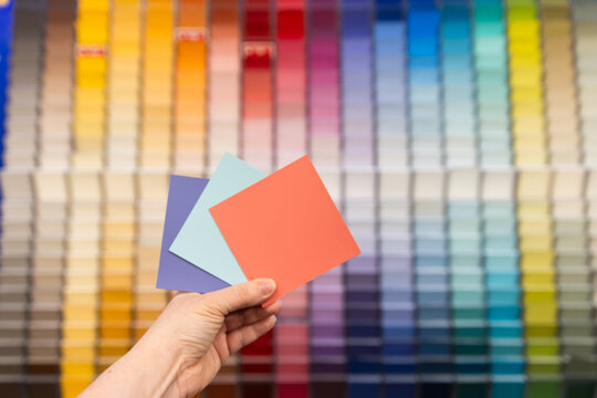 brightly coloured paint samples held up in front of a paint selection wall