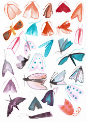 multicolored moths hand painted watercolor illustrations on white background