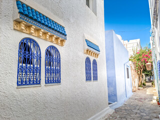 Street in the medina of Hammamet, Tunisia