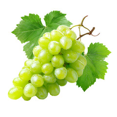 Obraz premium green Grape with leaves isolated