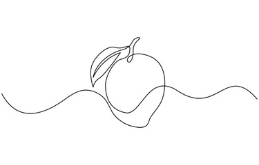 Continuous one line drawing of mango. Doodle vector illustration, Mango fruit hand drawn single line art Mango fruit hand drawn single line art.