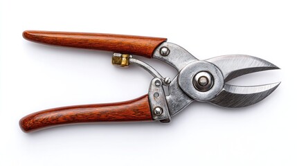 Fototapeta premium Precision pruning shears with wooden handles