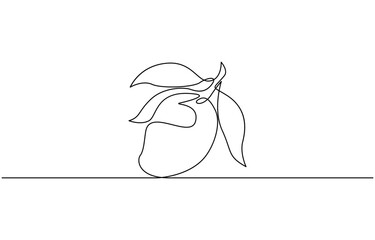 Continuous one line drawing of mango. Doodle vector illustration, Mango fruit hand drawn single line art Mango fruit hand drawn single line art.