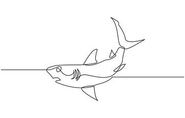 Sharks fish Continuous one line drawing of fish isolated flat vector illustration, Sharks fish Continuous one line drawing of fish isolated flat pro vector.