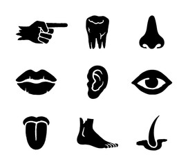 Anatomy glyph icon set zombie. Vector pictograms of body organs eye, ear, nose, mouth, lips, hand, foot black sign silhouette illustration