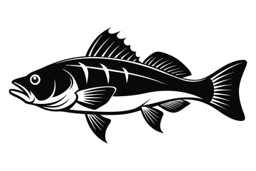 Black and White Perch Fish Illustration with Detailed Fins and Scales Drawing