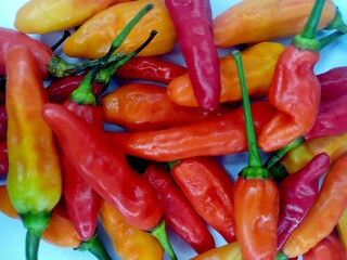 Assorted Colorful Chili Peppers, Red, Yellow, and Orange Hot Peppers Grouped Together on White Background for Spicy Cooking, Natural Food, and Culinary Ingredient Concept for background