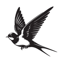 crow on a white background