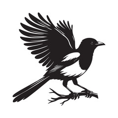 crow on a branch