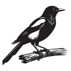 bird on a branch
