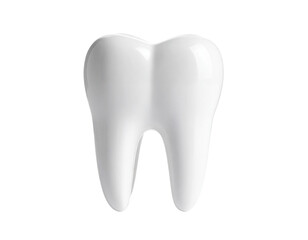 Realistic white tooth model, isolated on white background.