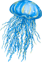 Watercolor jellyfish graphic illustration, which can be used in many forms such as scrapbook, postcards, stickers, teaching media, digital printing and many more.