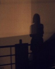 Woman's Silhouette in Warm Light