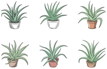 Aloe Vera in Pot Vector Designs Set Minimal Flat Succulent Illustrations for Crafts and Digital Use
