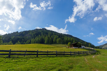 Fototapeta premium Wooden fence and alpine hut on green hillside with forested mountain and blue sky with clouds in the background.