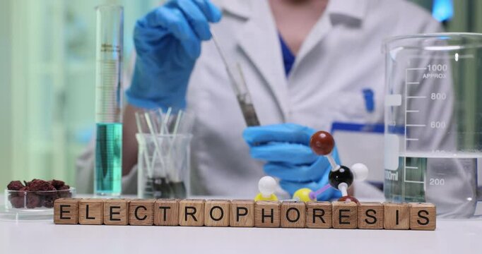 A skilled lab technician performs electrophoresis while utilizing various colorful molecular models in their work