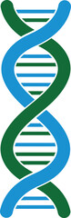 Double helix DNA structure in blue and green.