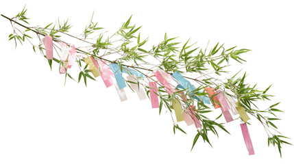 Elegant Tanabata Bamboo Branch with Soft-Colored Tanzaku – Japanese Star Festival Ornament on Transparent Background