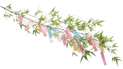 Elegant Tanabata Bamboo Branch with Soft-Colored Tanzaku – Japanese Star Festival Ornament on Transparent Background