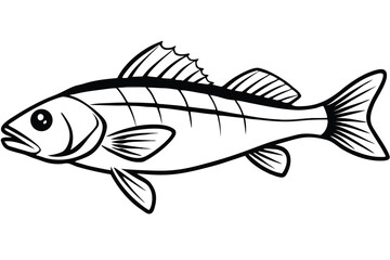 Detailed Line Art Depiction of a Perch Fish, Including Fins and Body Markings