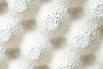 Cardboard Egg Carton Packaging – Empty Recyclable Egg Tray