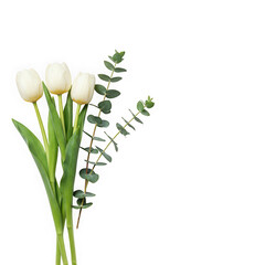 White tulips and eucalyptus bouquet isolated on transparent background