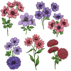 Collection of floral bouquets isolated on transparent background