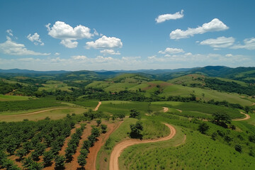 Rolling green hills with winding dirt roads, scattered trees, and a bright blue sky with fluffy clouds in a rural landscape.