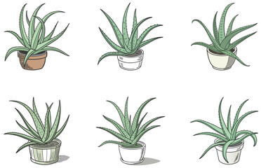 Aloe Vera in Pot Vector Designs Set Minimal Flat Succulent Clipart for Crafts and Digital Projects