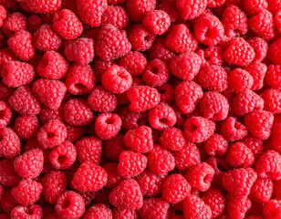 Abundance of Fresh, Ripe Red Raspberries, Full Frame Background.