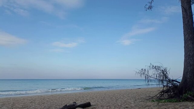 tropical sand beach seashore seaside coastline. Summer holiday vacation travel at sea