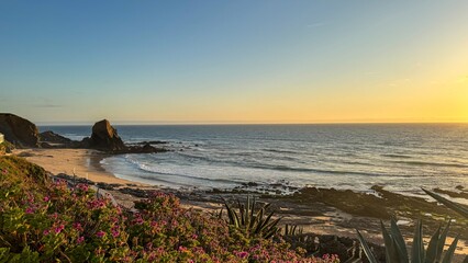 Coastal romance blooms with golden sunset embrace, wild flora tapestry, Earth Day reflection, and...