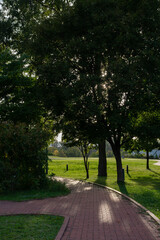夕暮れの公園の歩道
