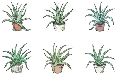 Aloe Vera in Pot Vector Designs Set Minimal Flat Succulent Illustrations for Crafts and Digital Use