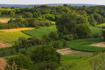 Hilly countryside landscape with dramatic sunlight and forest