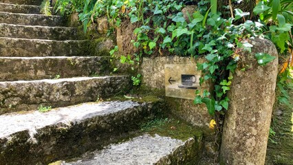 Ancient stone steps whisper history, lush ivy embraces the sacred path, secret gateways, Earth Day...