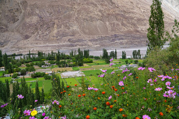 view of valley with flowing river and colorful flowers