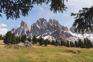 Snowy Sass Rigais and Furchetta peaks framed by trees in alpine meadow in the Dolomites, Italy.